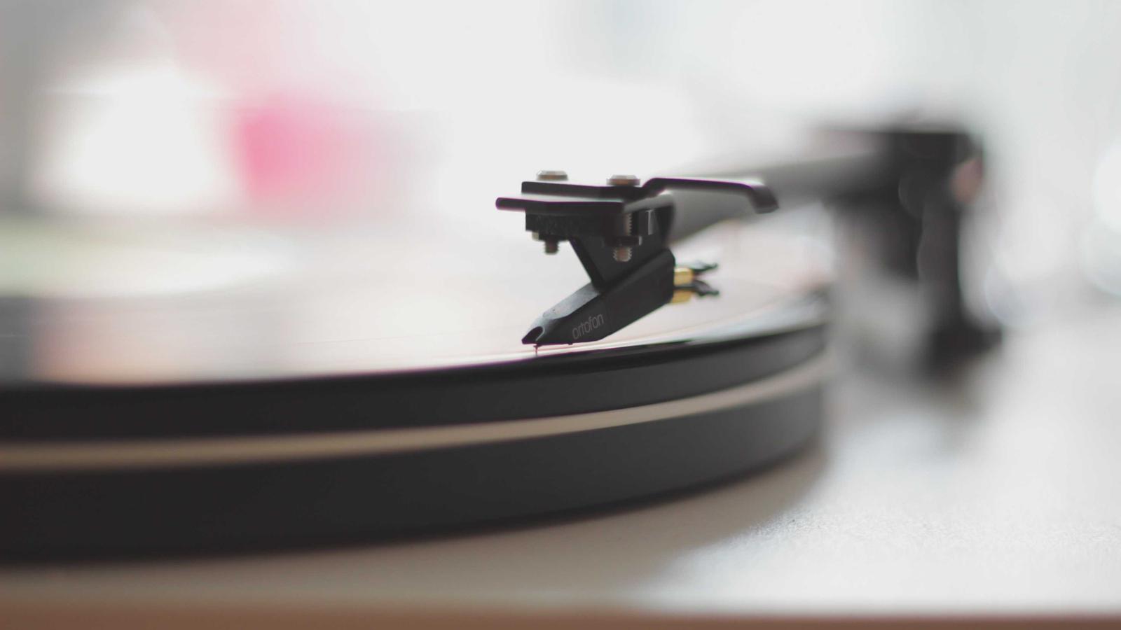 Picsum ID: 39